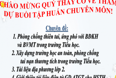 TẬP HUẤN CHUYÊN MÔN CẤP TIỂU HỌC